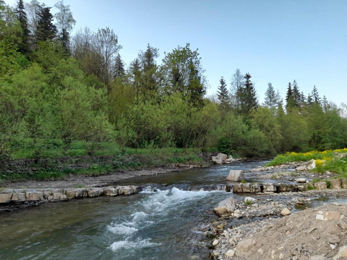 Nad Potokiem Bed & Breakfast Zakopane Dış mekan fotoğraf